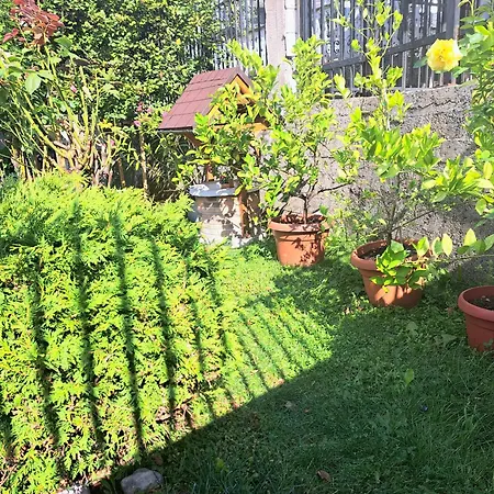 Citylights * سراييفو