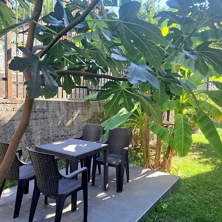 Citylights سراييفو